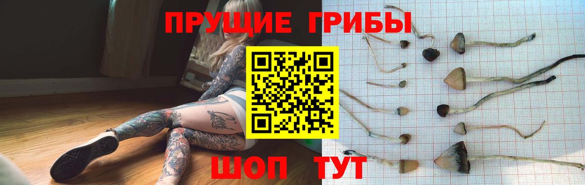 Псилоцибиновые грибы GOLDEN TEACHER  Вход с VPN  Александров 